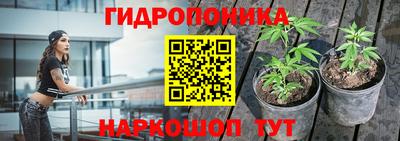 соль ск Балахна