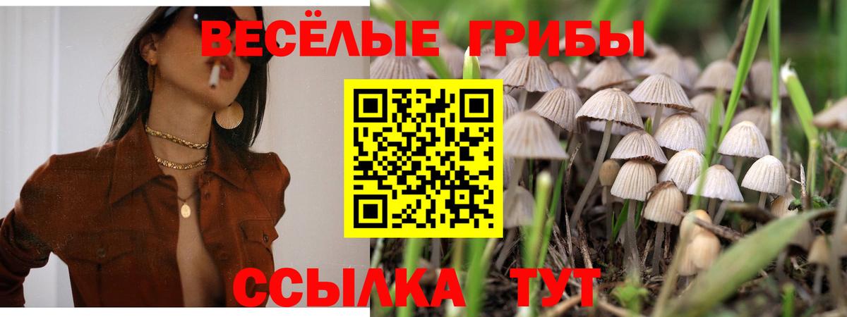 Галлюциногенные грибы мухоморы Апрелевка